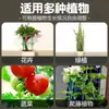 Soporte para Flores para Uso en Interiores en Casa, Tipo Universal para Flores Pinza de Cangrejo, Soporte para Hoja de Loto, Maceta de Jardinería, Repelente de Pájaros para el Hogar