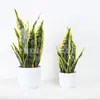 Planta Pele de Tigre Artificial Planta em Vaso Planta de Interior e Exterior Decoração de Casa Planta Verde Agave Sisal Bonsai Sala de Estar Pequena Planta em Vaso Ornamento Atacado