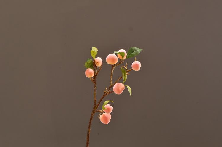 3-6粉色安迪中枝桃子.JPG