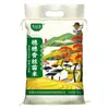 Arroz de Oreja de Arroz Personalizado OEM Arroz de Semilla de Arroz Fragante de Seda Paquete de 10 Jin de Arroz Paquete de Bolsa de 5 kg Venta al por Mayor Arroz de Temporada Actual Nuevo Arroz