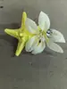 Pasador de Flor de Tela Estilo Vacaciones, Temperamento Dulce y Fresco, Pinza de Pato Lateral, Accesorio para el Cabello de Gama Alta de Nicho al por Mayor