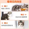 Comida para Gatos P Paquete Grande para Gatitos, Fórmula de Precio Completo para Aumento de Peso y Desarrollo Facial, Adecuada para Gatos Callejeros Rurales, Talla L