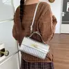 Bolsa de mão transfronteiriça para mulheres, novo estilo 2026, bolsa quadrada pequena orientada para exportação, bolsa Kelly tecida em relevo, bolsa de ombro, bolsa transversal