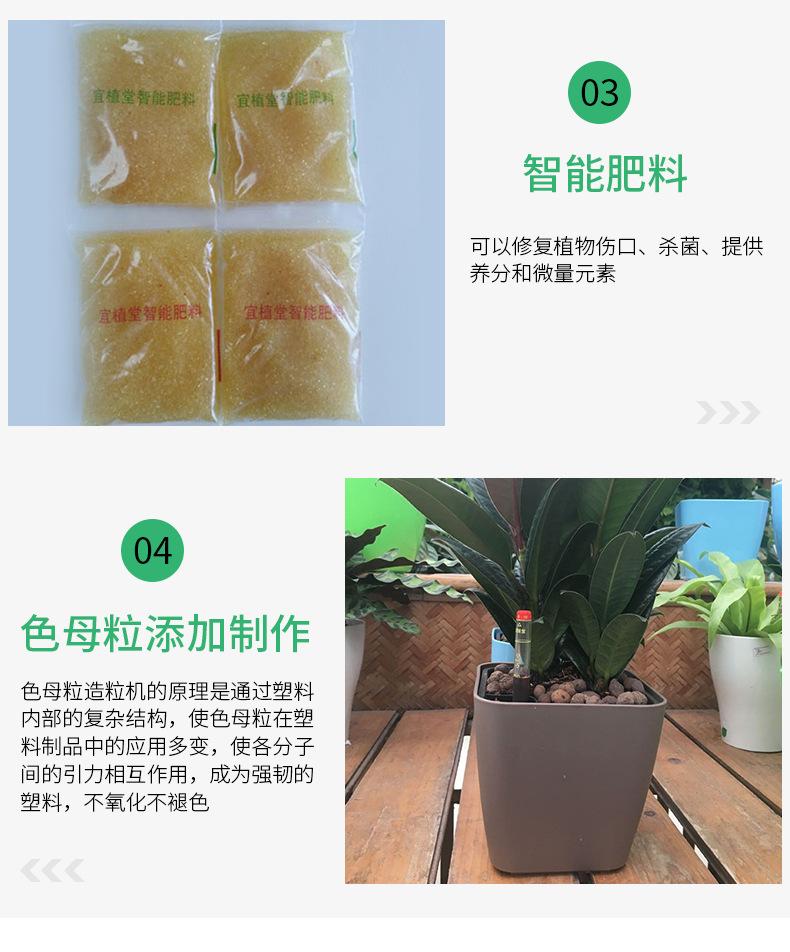 花盆(1004)_08.jpg