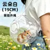 Bola de Exercício para Hamster Guanzhiya para Gerbils de Estimação, Hamsters Dourados e Hamsters Pequenos - Suprimentos Especializados para Brincadeiras e Interação