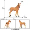 Modelo de Caballo Blanco Simulador Caballo de Pradera Potro Animal Juguete de Plástico Animal Salvaje Regalo Cognitivo para Niños Regalo