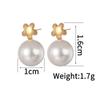 Cross-border nova moda elegante pérola luz luxo titânio aço brincos nicho simples médio antigo yiwu brincos high-end sentido