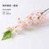 Fornecedores Fabricantes Fornecem Galhos Simulados de Flor de Pessegueiro, Flores Artificiais, Galhos de Flores Falsas, Galhos de Flores Falsas Decorativos de Tecido de Seda, Flores Decorativas de Árvore Artificial de Flor de Pessegueiro