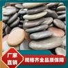 Piedra de Pintura Grande Piedra Cruda de Pintura Creativa para Niños Piedras de Pintura Hechas a Mano DIY Piedras de Pintura Artística Irregulares