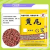 Material de nido g amarillo cola g 800g cebo de cola amarilla pozo negro pesca salvaje asesino de cola amarilla material de partícula pescado fresco oloroso asesino de cola amarilla