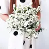 Directamente de Yunnan Nomeolvides Gypsophila Flores Reales Semisecas Secadas al Aire Naturalmente Flores Conservadas Regalo Adorno para Sala de Estar Mesa de Comedor