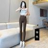 Pantalones de Lana de Cordero con Diseño de Tiburón para Mujer, Adecuados para Otoño e Invierno, con Forro Polar Adicional y Diseño Engrosado de Cintura Alta, Corte Ajustado, Tallas Grandes, Leggings Adelgazantes para Yoga con Control de Abdomen