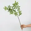 Plantas Verdes Artificiais, Folhas de Dinheiro Planas, Decoração para Sala de Estar de Casa e Hotel, Folhas Artificiais, Adereços para Fotografia, Vitrines