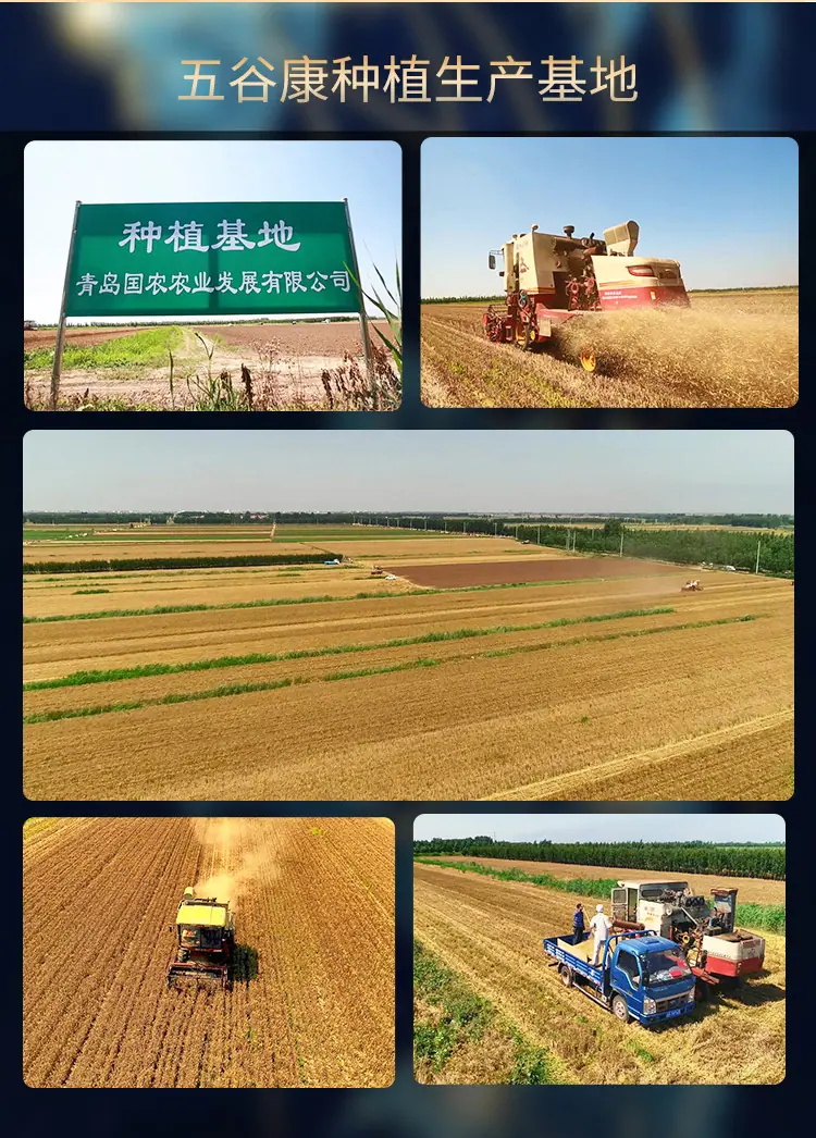 有机玉米粉详情_20.jpg