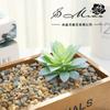 Suculentas Loto Goteando Suministros Creativos DIY Accesorios Pared de Plantas Flor de Plástico Venta Directa de Fábrica Jinhua Generación de una Pieza