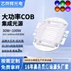 Fuente de Luz Cob de Alta Potencia Personalizada de 100W Dispositivo de Terapia de Luz Infrarroja para Belleza Médica Lámpara Integrada Bicolor de Perlas de Lámpara 460/660+850nm