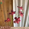 Venta al por mayor transfronteriza de orquídeas Bandai: Orquídeas artificiales Bandai de alta calidad, perfectas para decoraciones de bodas, arreglos de hibiscos y ramos de novia
