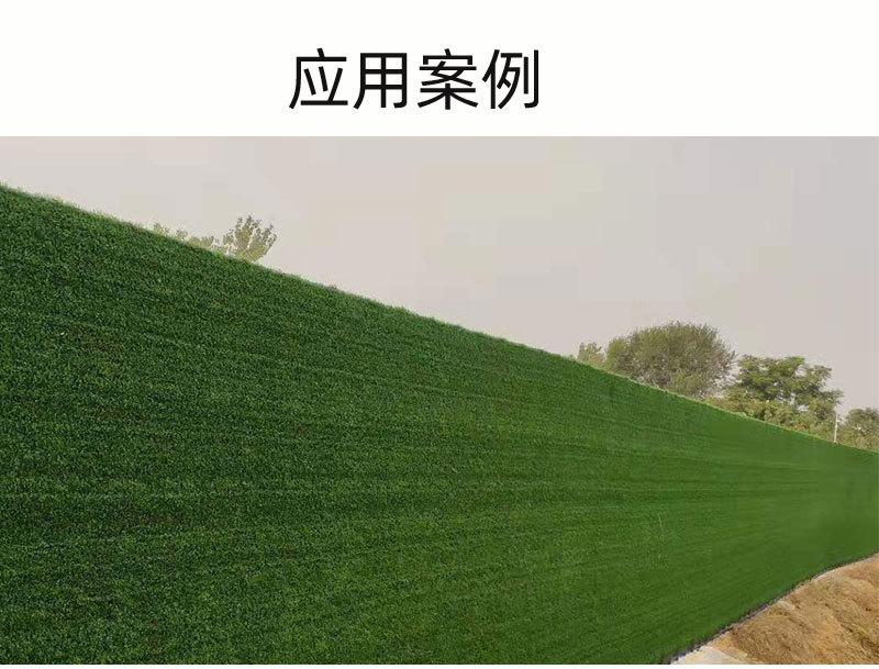 仿真草坪_10.jpg