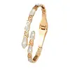 Pulsera impermeable de acero inoxidable con baño de oro real, Pulsera de acero ecológico con circonita y pedrería que no se decolora, Hueso de serpiente, Acero de titanio