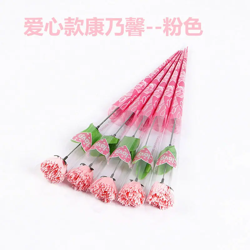 爱心款康乃馨 (3)_副本