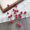 Paquete de materiales DIY hecho a mano flores mixtas plantas flores secas estilo bosque de jardín de infantes creación de anillos decoración piñas de Navidad
