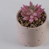 Vaso de Flor Cerâmico Cilíndrico Personalizado Meio Esmalte Speckle Barato Atacado Decoração de Jardinagem Vaso de Flor Suculenta Casamento Decoração de Casa Vaso de Flor Cerâmico