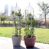 Amazon Supply Jardinería Simple Verde Planta Forma de U 11mm Planta Trepadora Combinación de Rejilla Blanco Soporte para Flores Trepadoras