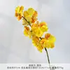 9 Orquídeas Phalaenopsis Artificiais para Decoração de Casamento, Arranjos Florais para Salões de Casamento, Shoppings, Paisagismo do Jardim de Monet, Luxo Leve