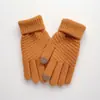 Luvas de Inverno e Outono Femininas Fofas com Forro de Lã Engrossadas de Camada Dupla à Prova de Frio Touch Screen Pelúcia Tricô Quente Abacaxi Antiderrapante