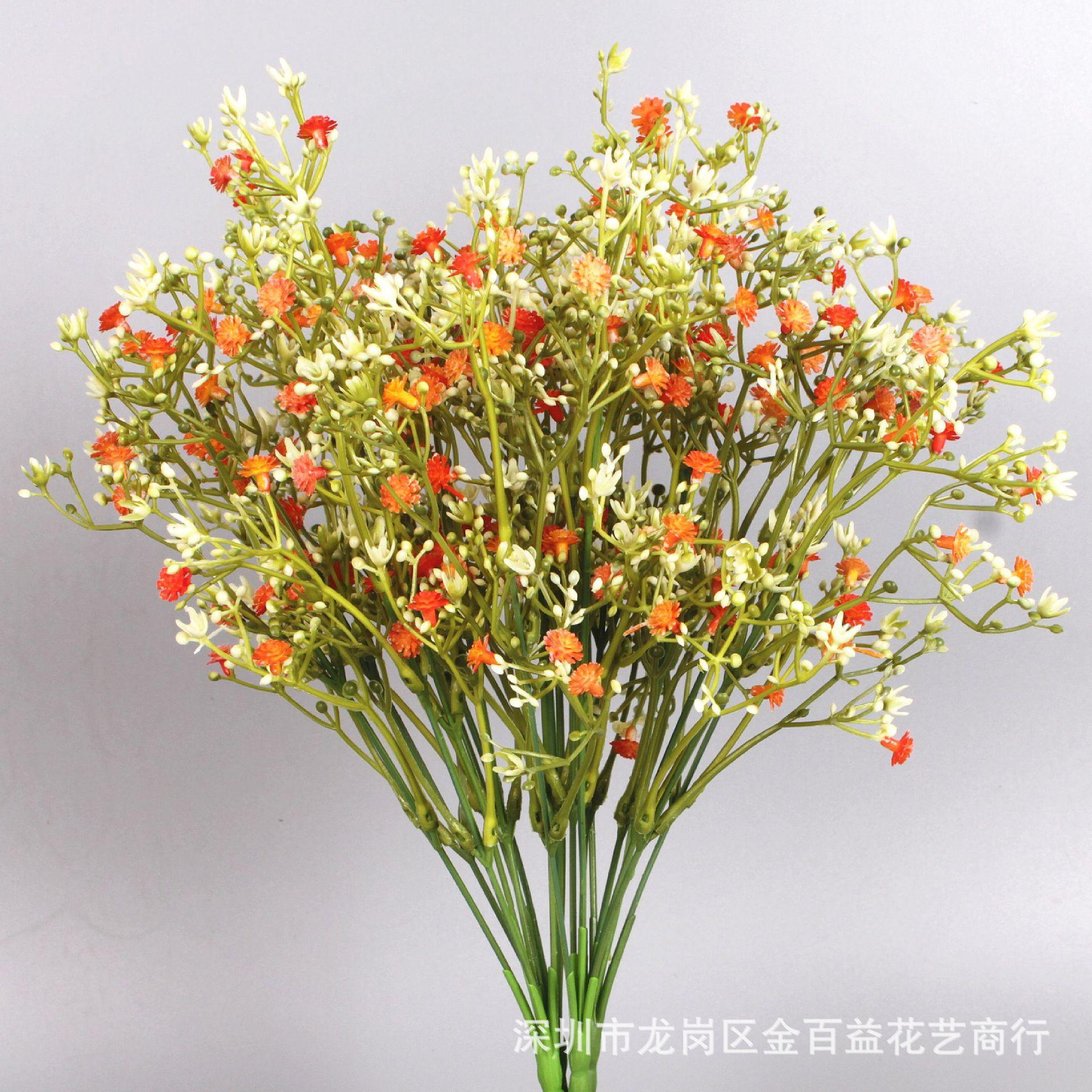 IMG_0555_副本.jpg