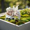 Espíritu del Agua Transfronterizo Flor de Loto Bebé Jardín Estaca Maceta Acrílica Decorativa Trampa de Sol con Arte de Paisaje de Jardín