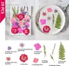 33 Piezas de Combinación con Relieve, Se Pueden Usar para Calcomanías Hechas a Mano, Fundas de Teléfono Secadas con Pegamento, Velas de Aromaterapia, Producción Creativa de Flores, Decoración del Hogar, Regalos de Acción de Gracias y Navidad