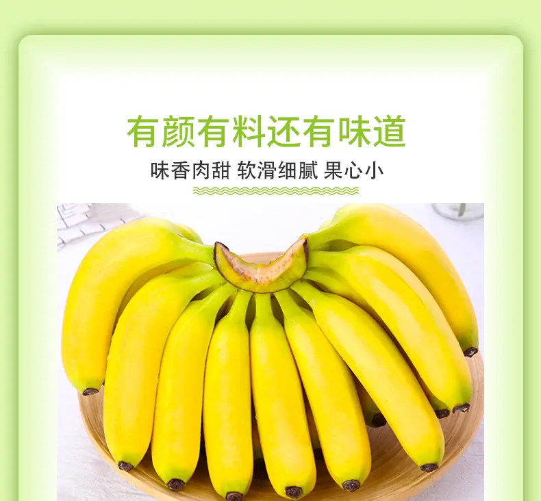 福建天宝香蕉 代发3/5/9斤一级大果香甜软糯当季鲜果整箱新鲜水果详情图3
