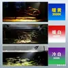 Foco mini acuario, Iluminación paisajismo acuario Sudamericano, Luz para plantas acuáticas, Luz de acuario, Luz LED para tanque nativo, Enfoque ajustable y color cambiante
