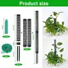 Pólo de Musgo coluna de musgo semicircular pólo de musgo coluna de suporte para plantas pólo para plantas trepadeiras pólo de musgo casco de tartaruga