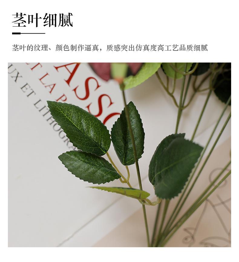 9头把束玫蕾_12