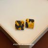 Pendientes de leopardo cuadrados de nicho nuevos de otoño e invierno para mujer, acrílicos, geométricos, irregulares, diseño elegante, pendientes elegantes