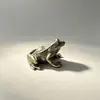 Cobre puro antigo sapo antigo decoração de latão sólido sala de estar chá sapo de estimação sapo mesa chá sapo de cobre sapo estilo chinês