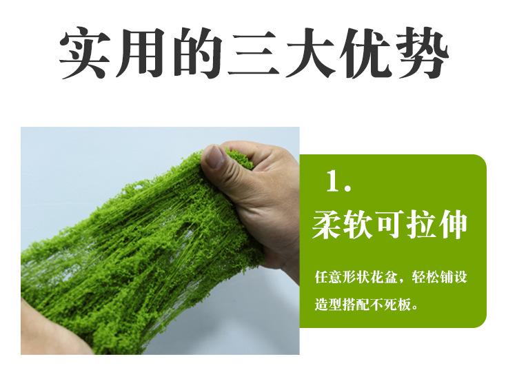 详情4.jpg