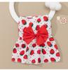 Fábrica Fonte Roupas Vestido Pet Vestuário Cão Gato Vestido Estampado Desenho Animado Fofo Vestido de Princesa