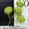 Flores de Clematis, Flores de Cordyceps, Flores Gesang de Cuatro Cabezas, Arte Floral con Gradiente de Dos Tonos, Decoraciones de Boda en el Jardín de Monet, 15 Colores Disponibles
