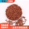 Fabricantes de material para nidos de aceite de oveja material para nidos de pesca de exterior pesca pequeña medicina negra pozo pesca salvaje cebo para peces de agua dulce