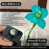 Colorante para flores, absorbente de color para rosas, solución absorbente de color, tinte, colorante para ramos y floristerías
