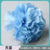 Cabeza de flor artificial de clavel de 5 cm, flor para diadema de bricolaje, tocado, horquilla, flor para el cabello, diadema, material para birrete, flor falsa, flor decorativa hecha a mano