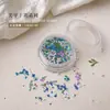 Arte de Uñas Flores Secas Decoraciones para Uñas Pintura al Óleo Jardín de Monet Pétalos Estilo Japonés Estilo Ins Pequeñas Flores Mixtas Materiales para DIY