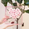 Caja de Regalo Flor Eterna Cd Mismo Amor de Xiaohongshu Regalo de San Valentín para Novia San Valentín Chino Caja de Flores Transparente de Acrílico