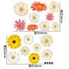 Pegatinas de pared autoadhesivas con fondo de flores de margaritas transfronterizas, para la renovación del dormitorio de los niños y la sala de estar, pegatinas de pared extraíbles