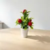 Simulación Transfronteriza 5 Árboles Frutales Bonsái Pequeño Decoración del Hogar Fruta de la Riqueza Planta en Maceta Planta Verde Adorno de Mesa de Sala de Estar