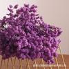 Pasto de Cristal Seco Eterno, Pasto de los Amantes y Pasto Decorativo para Decoración del Hogar, Fotografía y Accesorios para Arreglos Florales, Flores Secas Estilo Ins