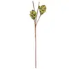 Plantas Verdes Artificiais Simuladas, Móveis para Casa, Pinhas Decorativas, Adereços para Fotografia de Frutas de Eva, Arranjos de Flores Suculentas, Arranjos Florais